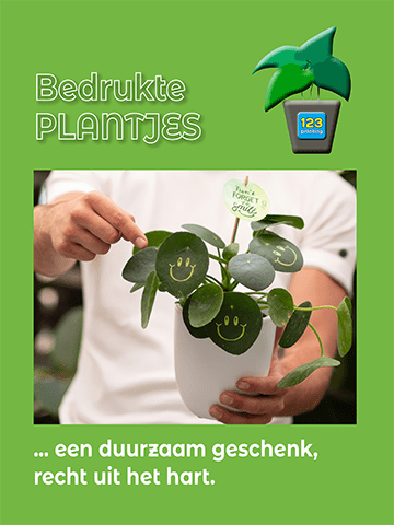 Magazine - Bedrukte plantjes