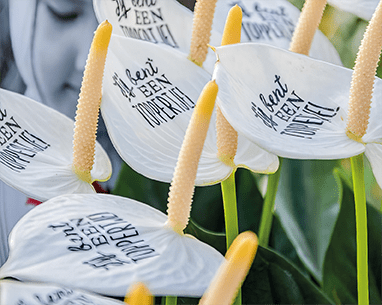 Bedrukte plantjes