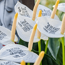 Bedrukte plantjes - een duurzaam geschenk