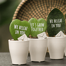 Bedrukte plantjes - een duurzaam geschenk