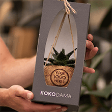 Bedrukte plantjes - een duurzaam geschenk
