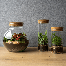Bedrukte plantjes - een duurzaam geschenk