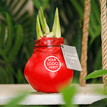 Bedrukte plantjes - een duurzaam geschenk